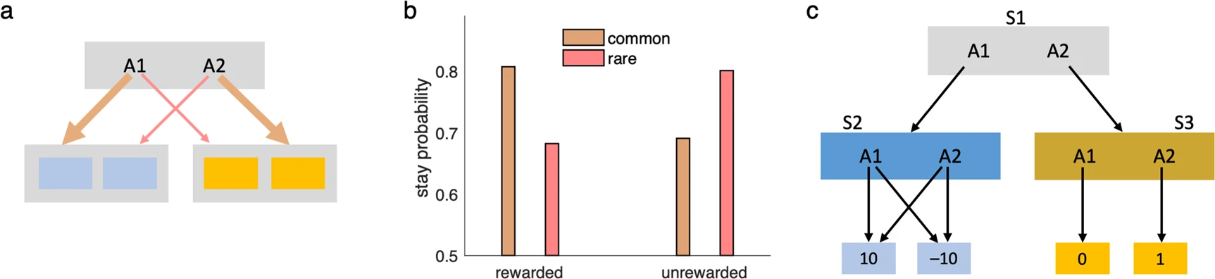 Linear reinforcement learning in planning, grid fields, and cognitive ...